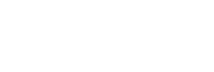 Logo White